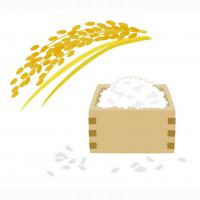 【無料】選べるおまけ